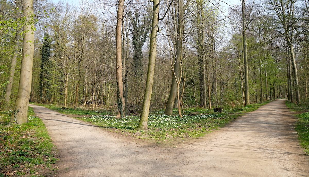 How Can I Find The Right Travel Insurance Plan?