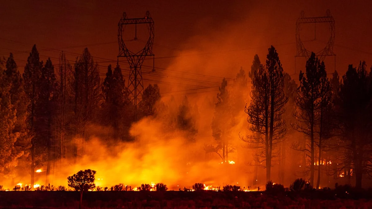Wildfires: Travel Insurance to Consider