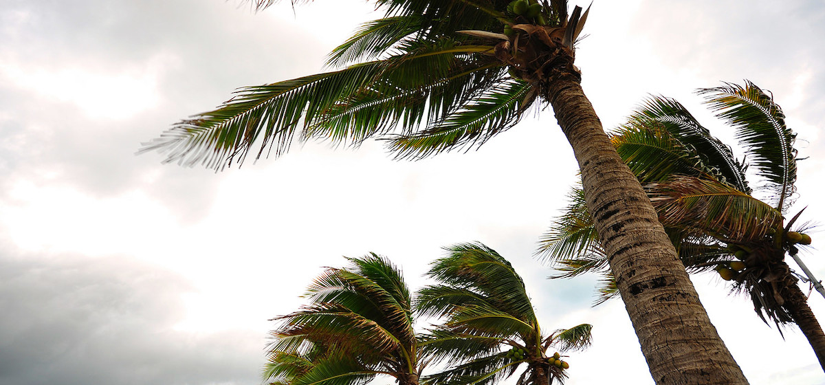 Hurricane Travel Insurance