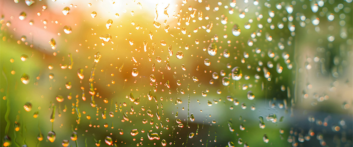 Raindrops on Window with Sunshine Image