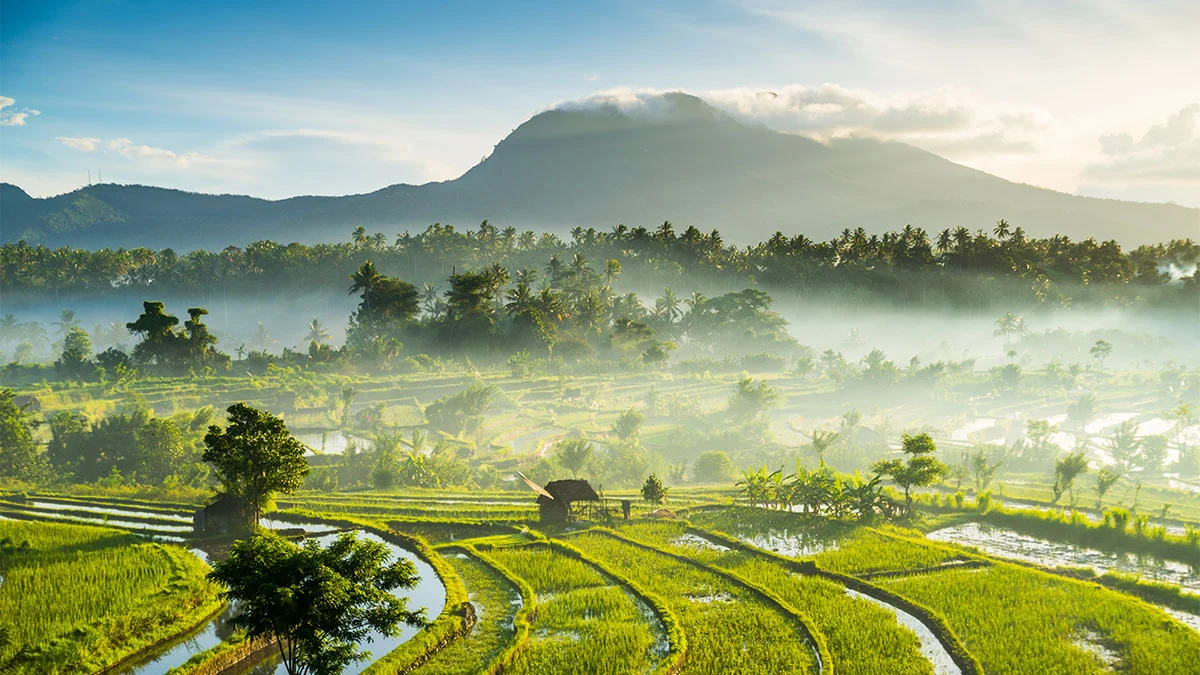 Travel Insurance for Indonesia