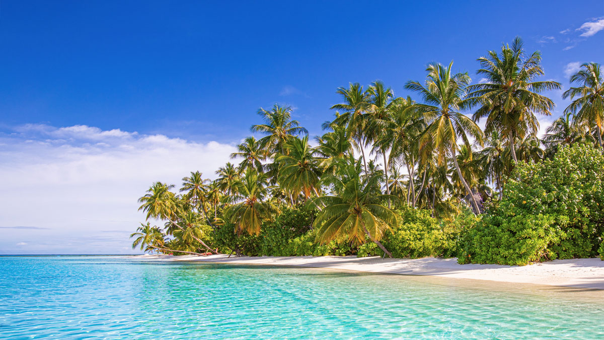 What is a Free Look Period for Travel Insurance?