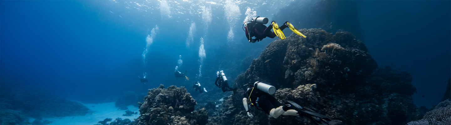 Scuba Diving Travel Insurance by SOVENTURE